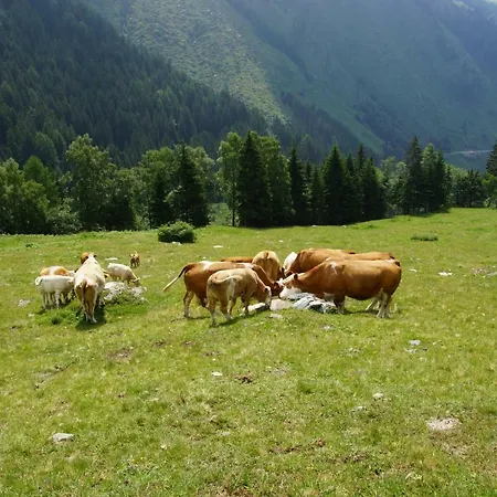 Lechnerhof * Zandlach